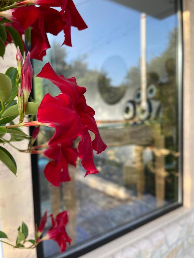Vila Natali Himare Buitenkant foto